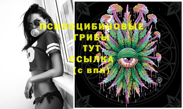 скорость Арсеньев