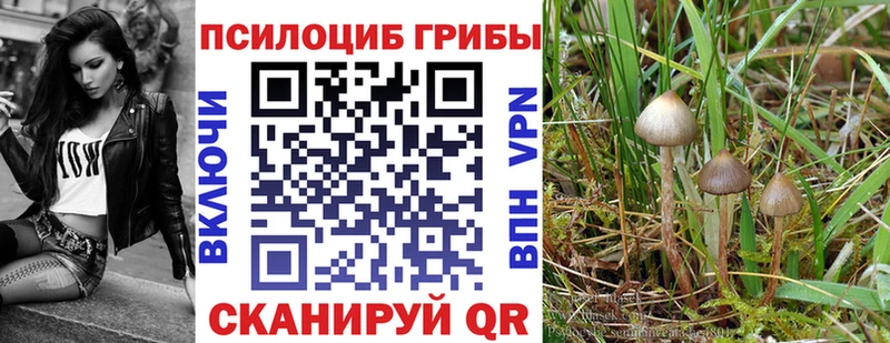 Галлюциногенные грибы мухоморы  MEGA зеркало  Пыть-Ях 